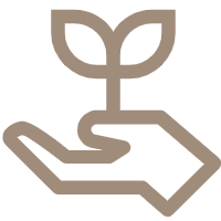 Sustainable Production