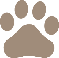 Wildlife Conservation